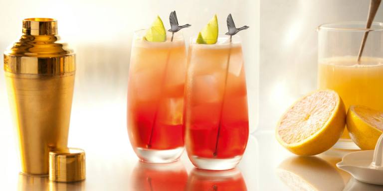 11074580_1003155029712541_7927988029759559962_o